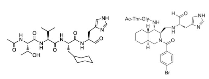 AI創薬技術によるSARS−CoV−2プロテアーゼ阻害薬の探索 - Preferred