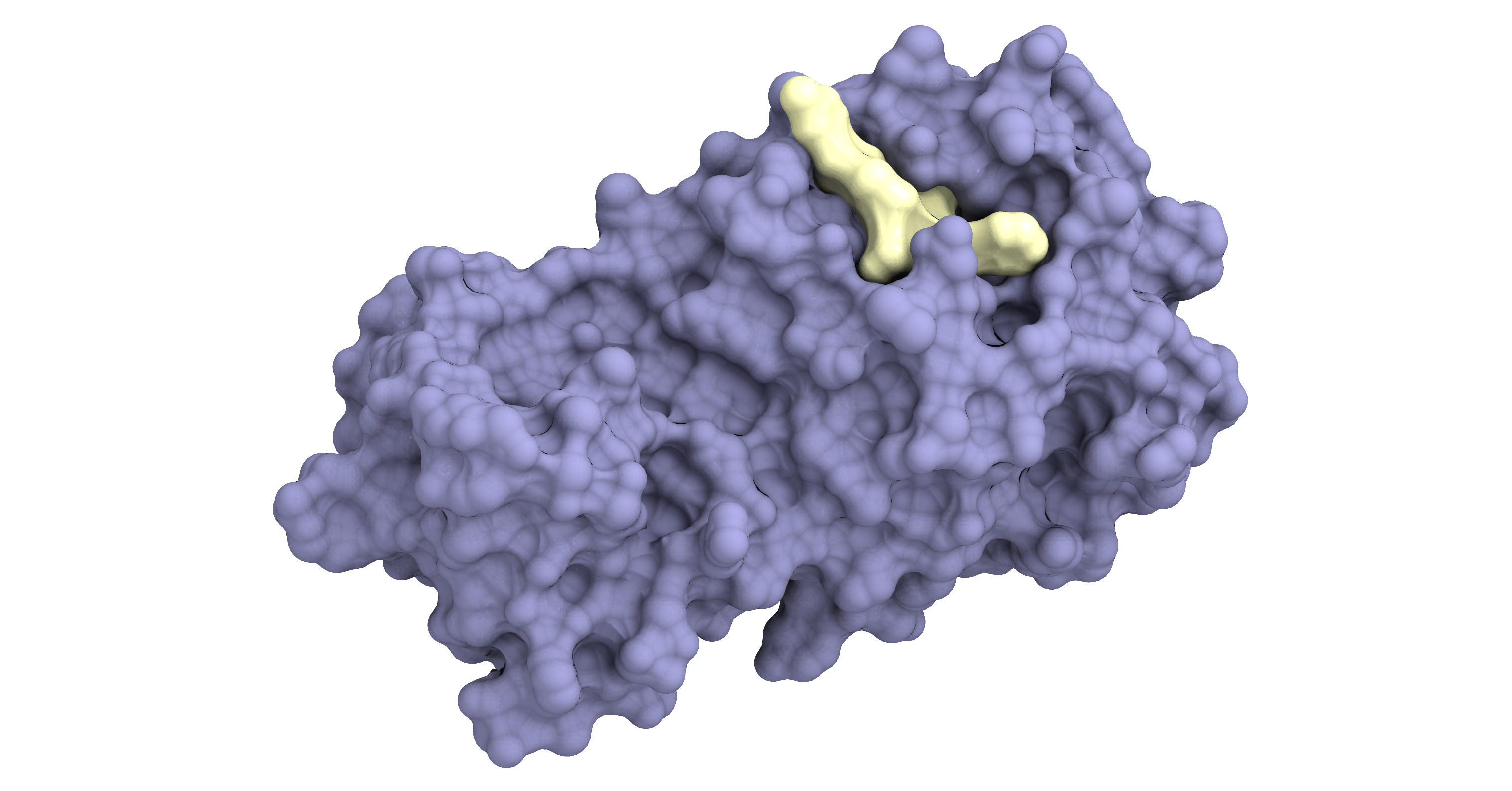 AI創薬技術によるSARS−CoV−2プロテアーゼ阻害薬の探索PFNのAI創薬プラットフォームSARS-CoV-2 Mpro阻害剤の設計おわりに