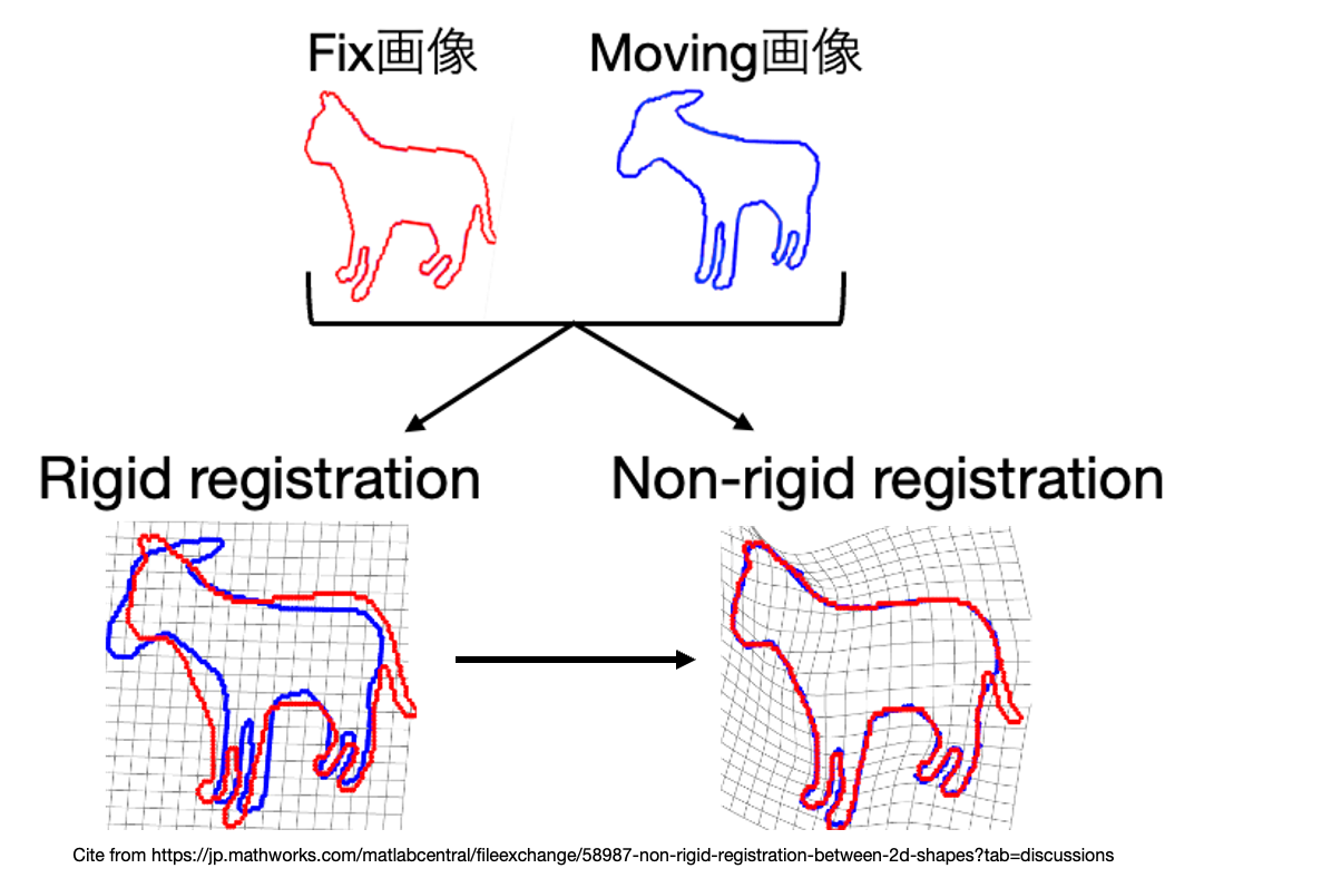 non-rigid-registration-model-preferred-networks-research